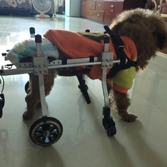 Amazon.co.jp: 犬用車いす小型・中型ペット用犬車いす調節可能な四輪犬